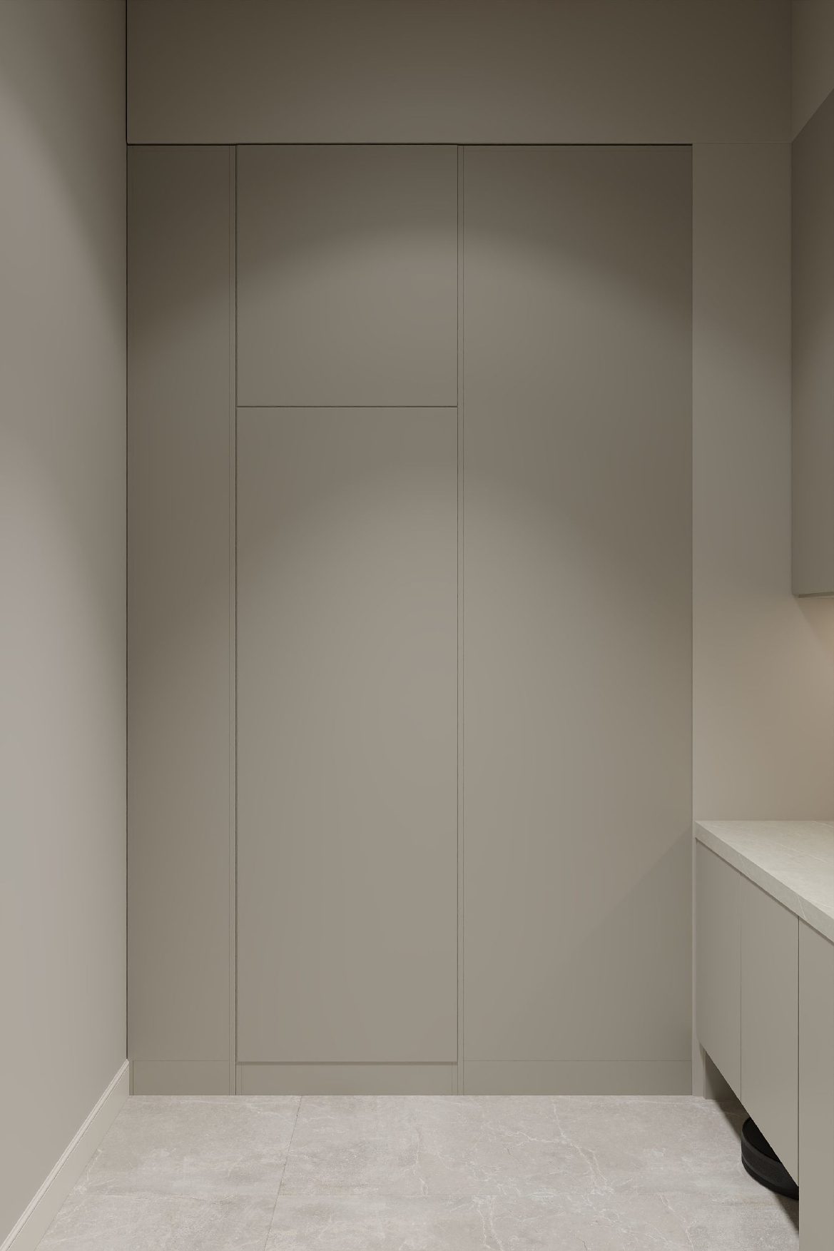 236.3 m² apartment project — Laundry room. Interior view 14